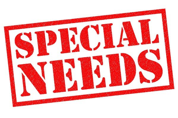 Different Definitions of -Special Needs- Under the Law